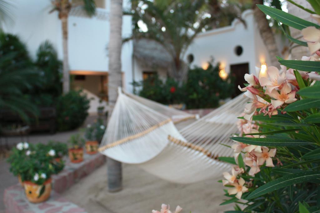 Casa Costa Azul San José del Cabo Exterior foto